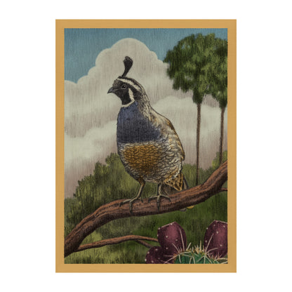 California Quail