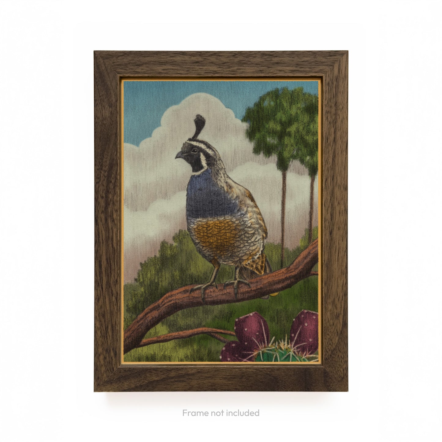 California Quail