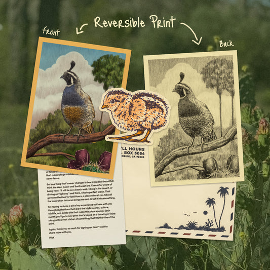 April 2026 Archive Mail Club