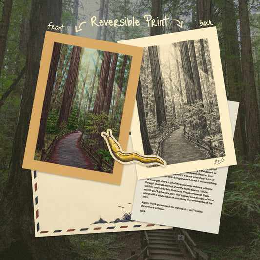 February 2026 Archive Mail Club