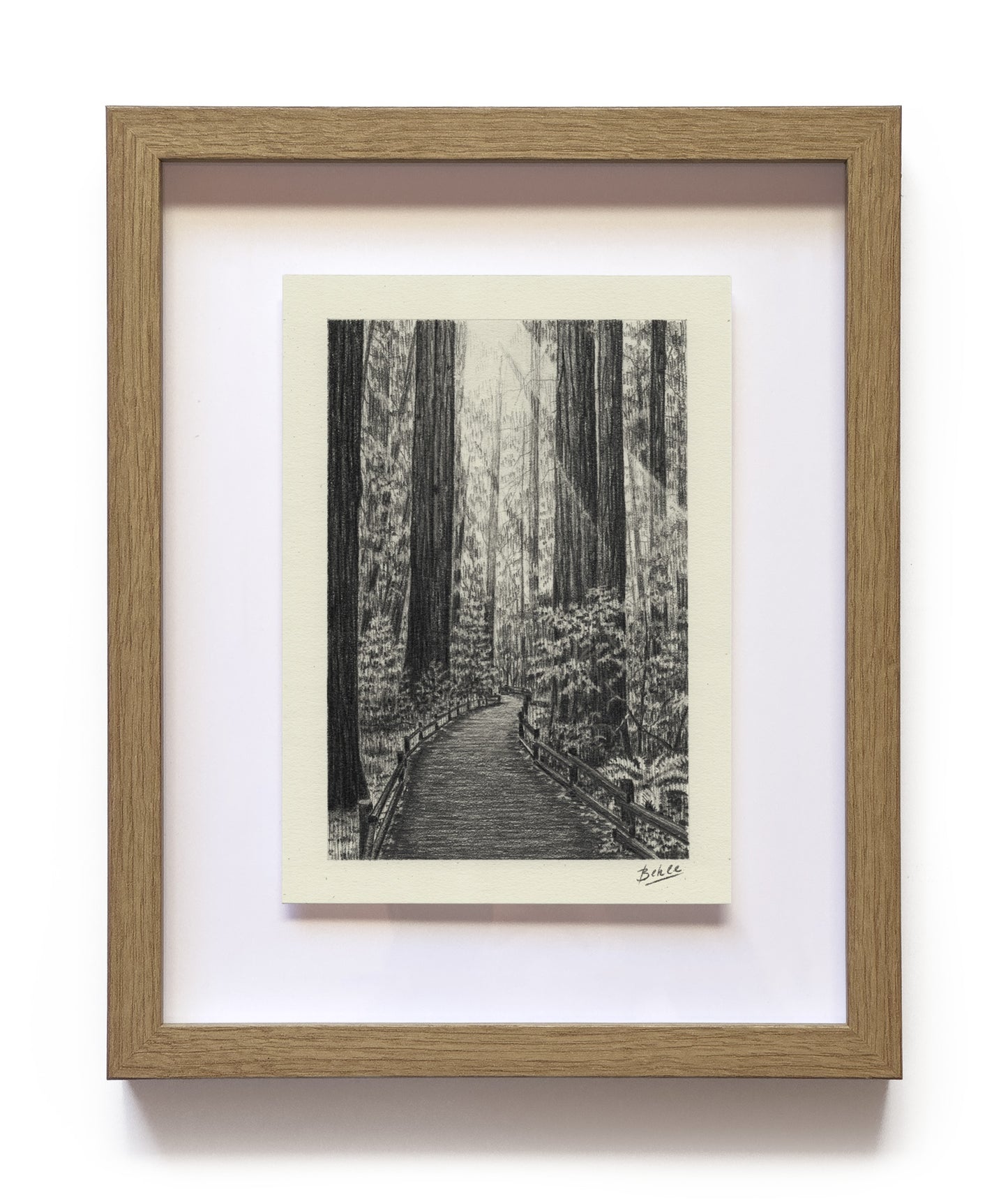 Redwood Trail - Original Drawing