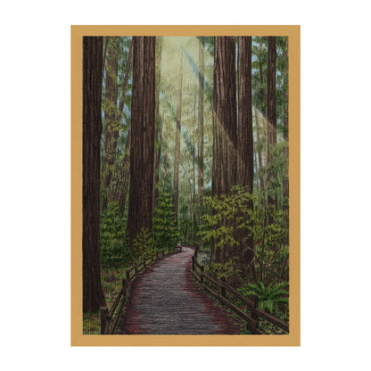 Redwood Trail