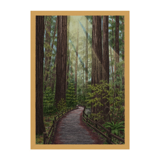 Redwood Trail